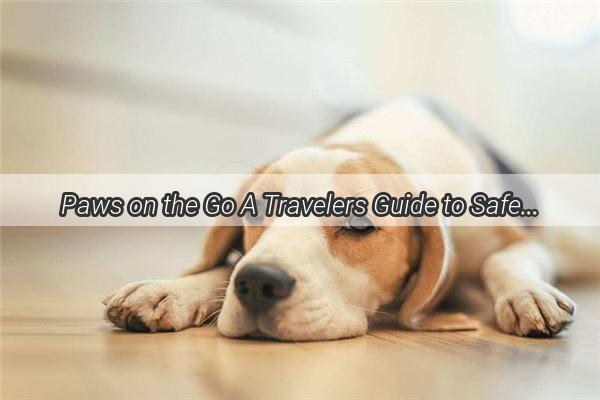 Paws on the Go A Travelers Guide to Safe and Happy Journeys with Your Furry Friend